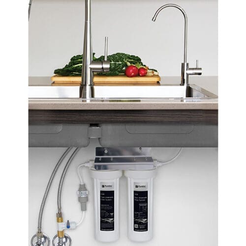 Puretec Ts200 High Loop Designer Faucet With Dual Filter System, Cyst Removal