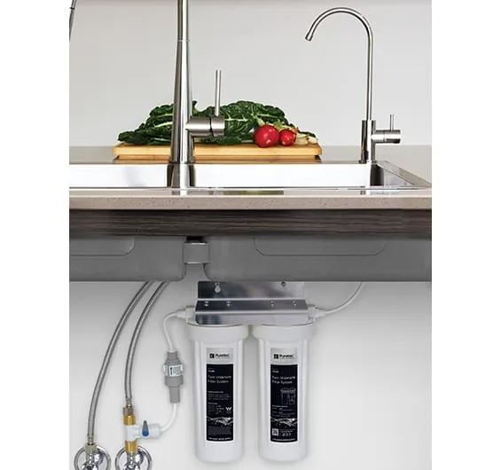 Puretec Ts200 High Loop Designer Faucet With Dual Filter System, Cyst Removal