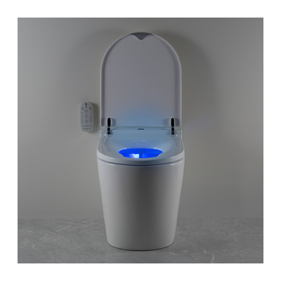 Evo Wall Faced Smart Toilet Remote Night Light Lid Open