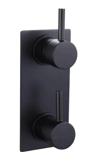 Alder wish twin shower mixer mb