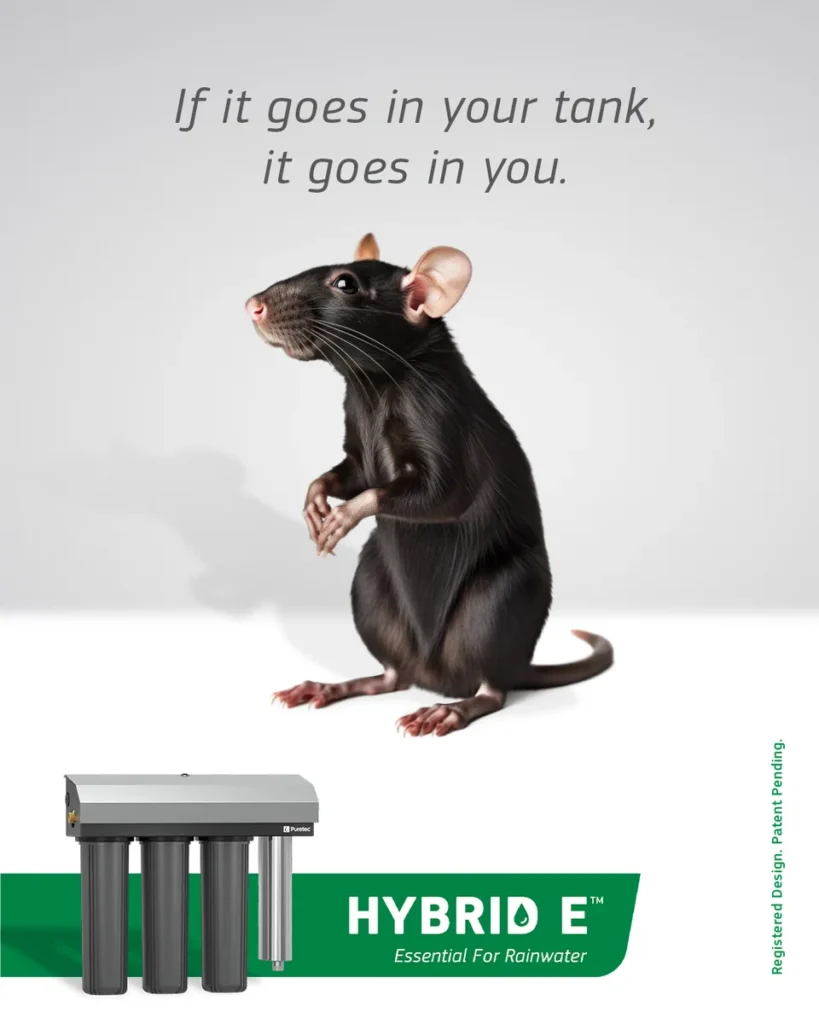 Rat beside a glass – if it goes in your tank, it goes in you (Puretec Hybrid E)