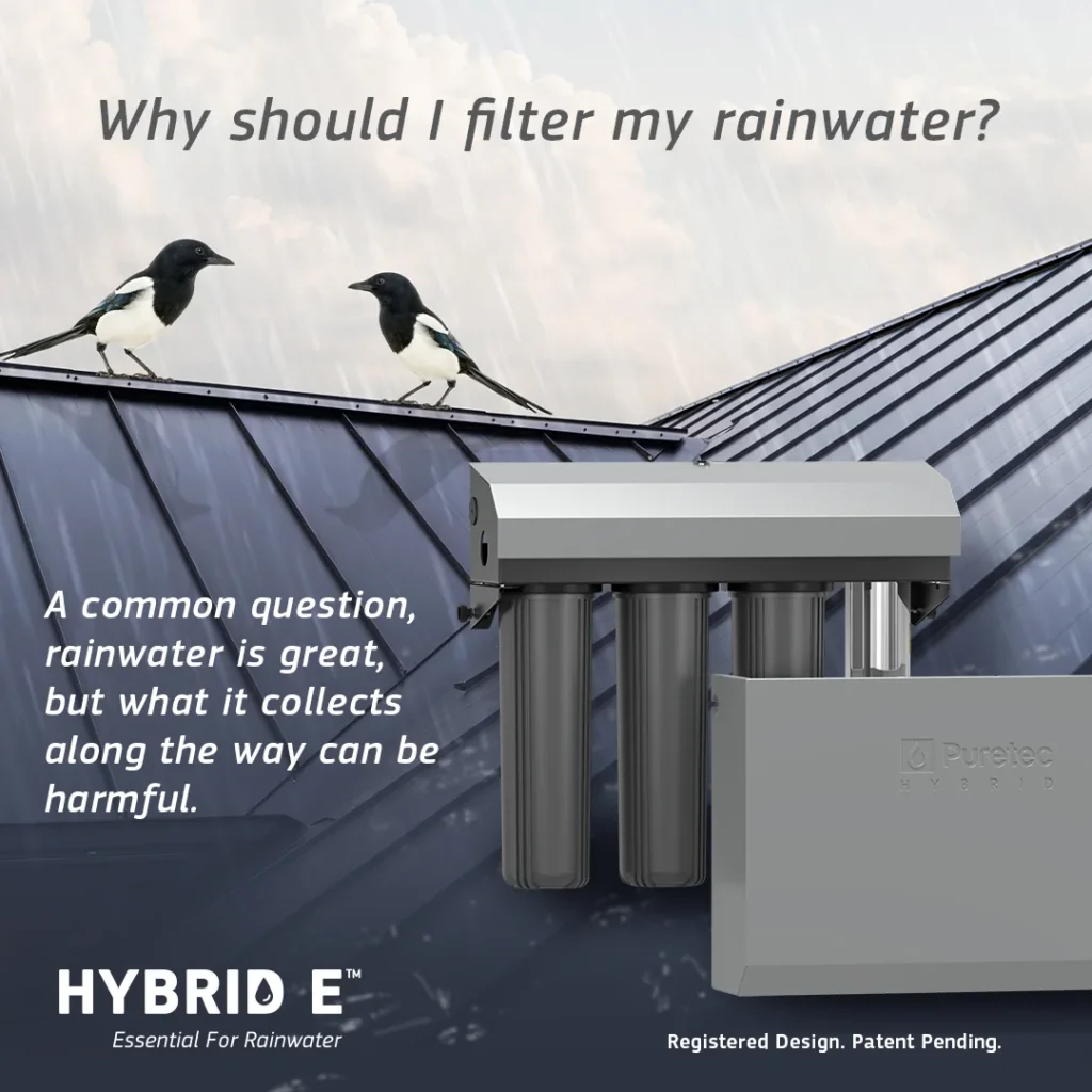 Birds on a roof beside a Puretec Hybrid E rainwater filtration system